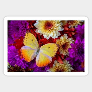 Exotic Yellow Butterfly On Poms Sticker